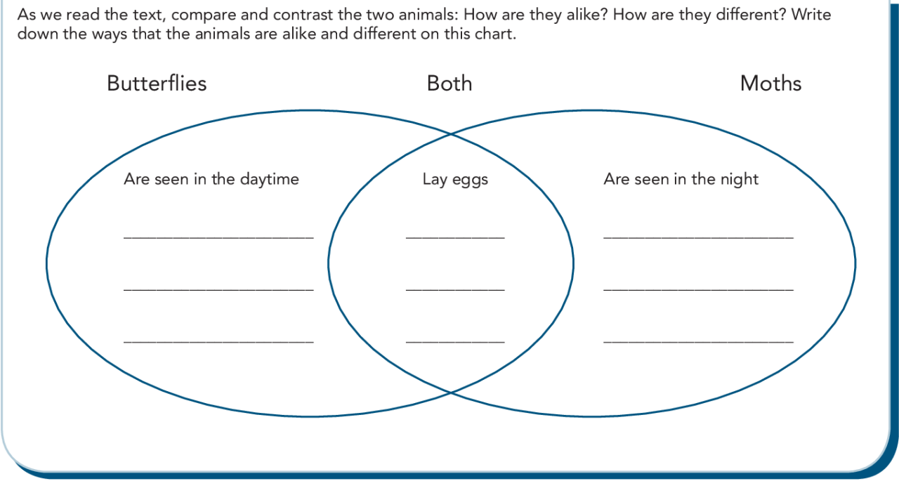 70+ Fascinating Informative Essay Topics for Kids and Teens