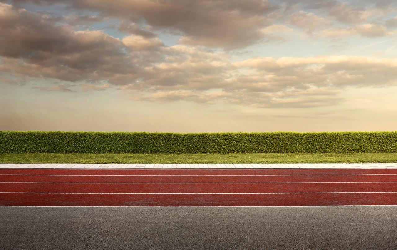 Candidate's track record: Track Record Insights